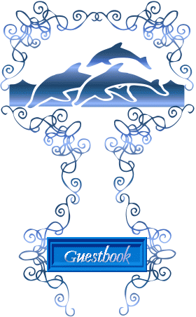 dolphinint.gif (28342 bytes)