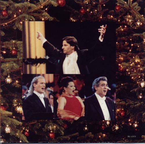 mcfvback.jpg (43661 bytes)