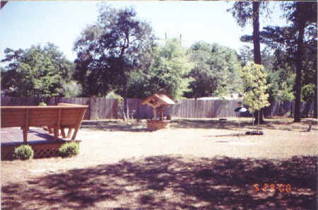 back2.jpg (51304 bytes)