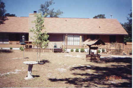 backyard.jpg (42821 bytes)