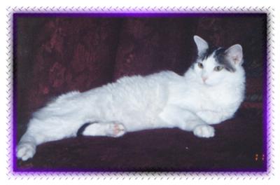 fatboysm.jpg (14062 bytes)